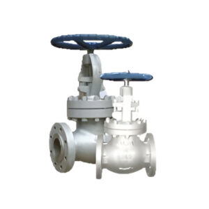 Globe Valves