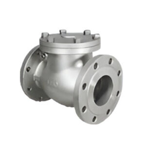 Swing Check Valves